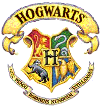 Festa a Tema Harry Potter